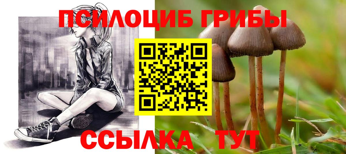 Галлюциногенные грибы GOLDEN TEACHER Новый Уренгой