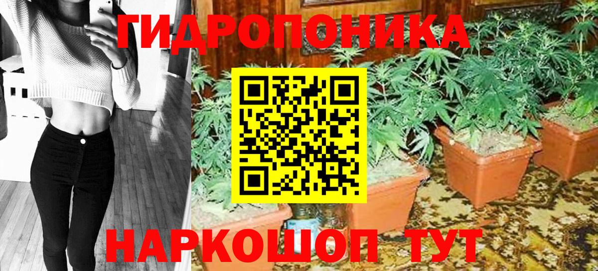 Каннабис Bruce Banner  Вход с VPN  Бошки марихуана OG Kush  Шишки марихуана ГИДРОПОН  Новый Уренгой 